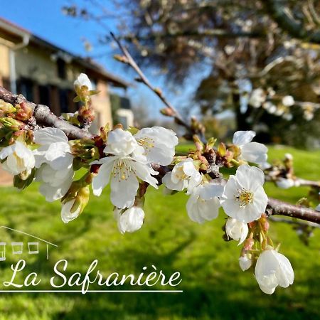 La Safraniere Vila Lagraulet-Saint-Nicolas Exterior foto