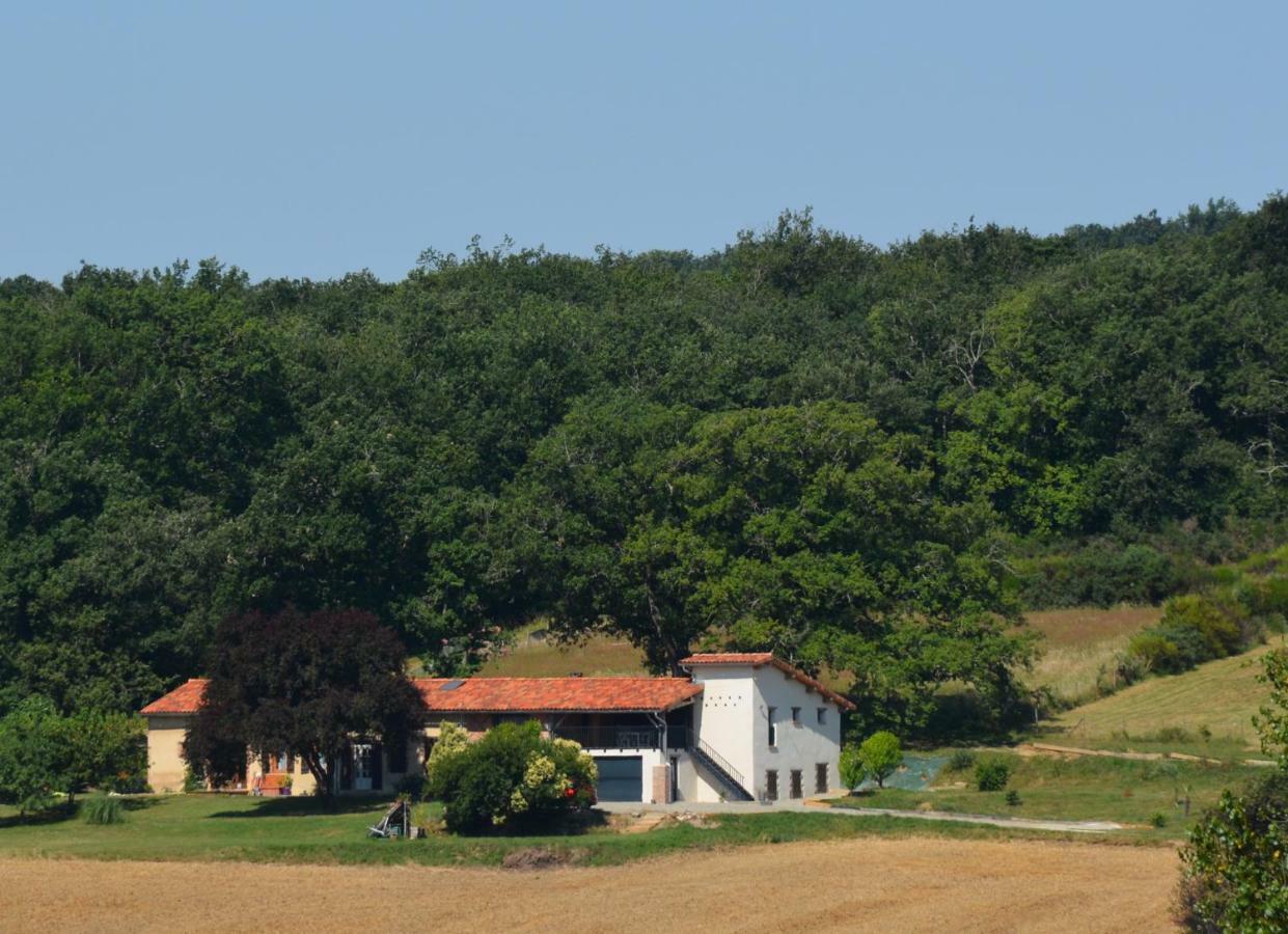 La Safraniere Vila Lagraulet-Saint-Nicolas Exterior foto